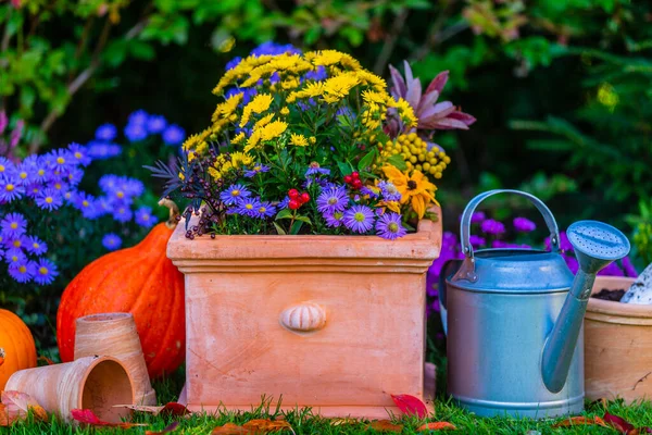 Herbstliche Gartendekoration Herbstblumen Garten — Stockfoto