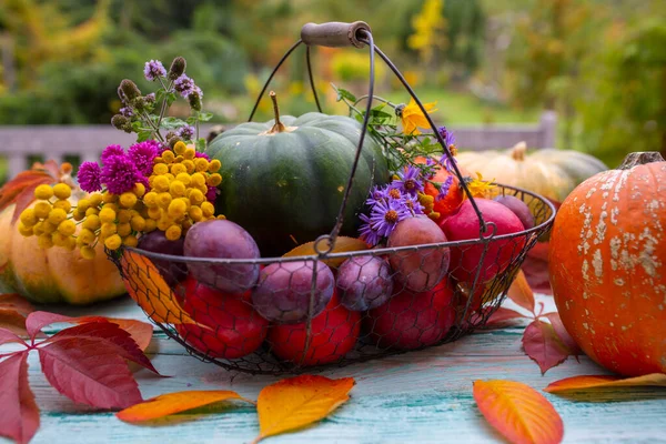 秋の収穫 庭の木のテーブルの上のカボチャと秋の果物 — ストック写真