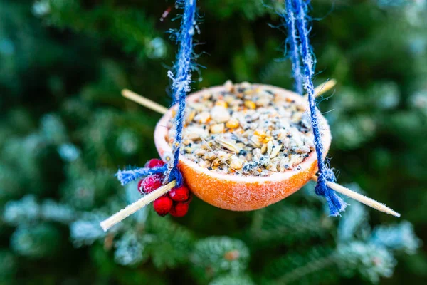 Alimentación Aves Invierno Hágalo Usted Mismo Energía Pájaro Bolas Grasa —  Fotos de Stock