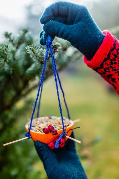 冬に鳥に餌をやる 鳥料理の女 Yourself Energy Bird脂肪ボール — ストック写真