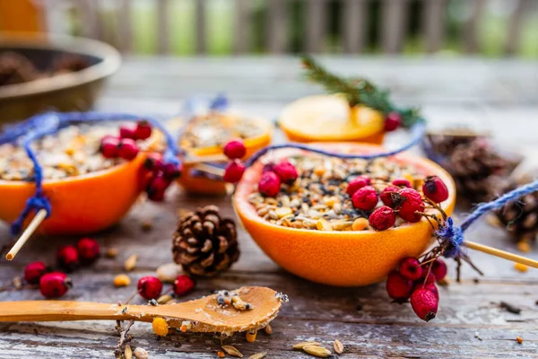 Alimentación Aves Invierno Hágalo Usted Mismo Energía Pájaro Bolas Grasa —  Fotos de Stock