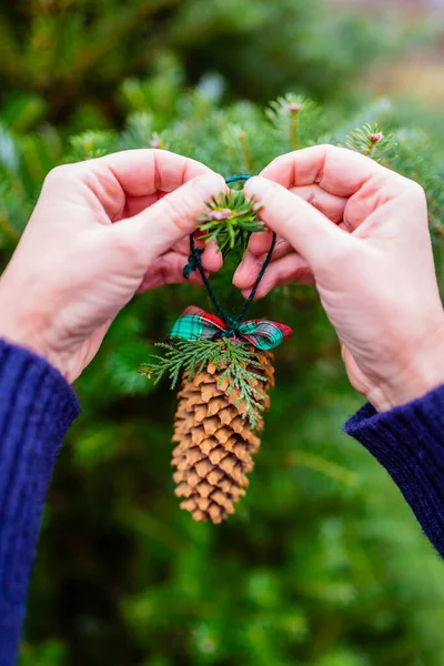Las Decoraciones Naturales Los Conos Para Árbol Navidad —  Fotos de Stock