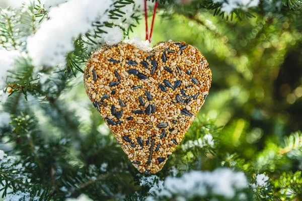 Alimentación Aves Invierno Comida Para Pájaros Alimentadores Aves —  Fotos de Stock