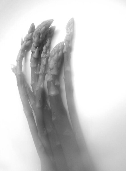 вареная спаржа в фарфоровой тарелке