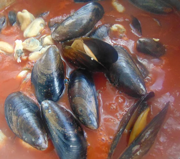 Seafood Tomato Sauce — Stock Photo, Image