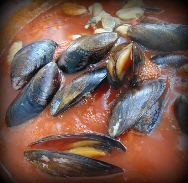 Seafood Tomato Sauce — Stock Photo, Image