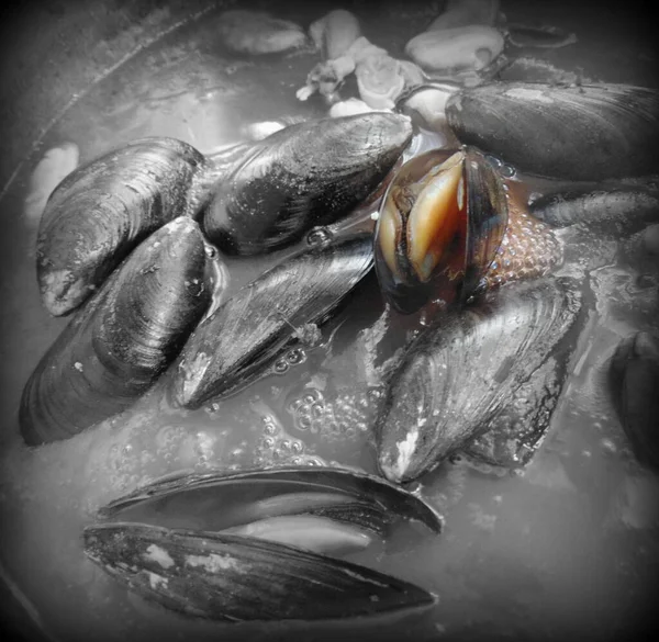 Морепродукти Томатному Соусі — стокове фото