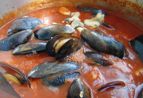 Seafood Tomato Sauce — Stock Photo, Image