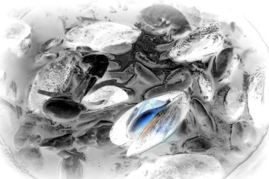 Su altındaki deniz ürünleri çizimi