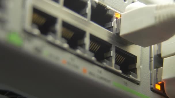 Cabo de rede instalado em rack no data center. — Vídeo de Stock