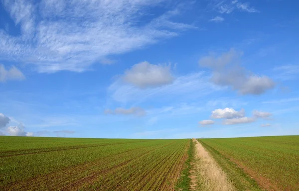 Paisajes otoñales Imágenes De Stock Sin Royalties Gratis