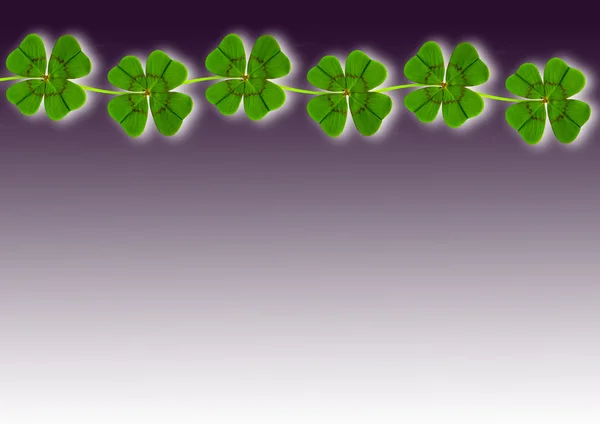 Good luck with clover — Stock Photo, Image