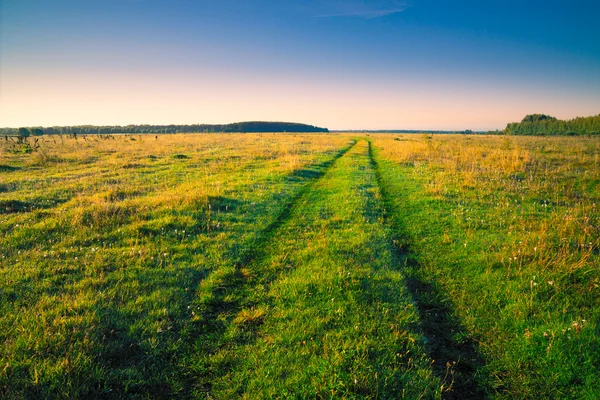 Largo camino en campo verde mañana de verano — Foto de Stock