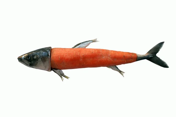 Marchew ryb — Zdjęcie stockowe