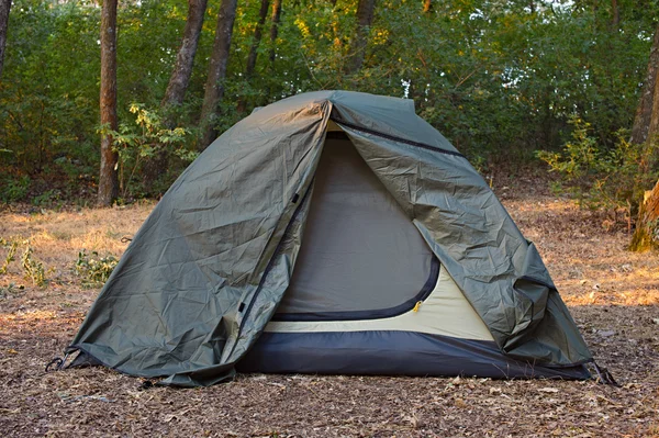 Zielony namiot w lesie — Zdjęcie stockowe