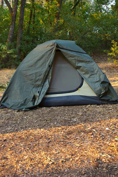 Zielony namiot w lesie — Zdjęcie stockowe