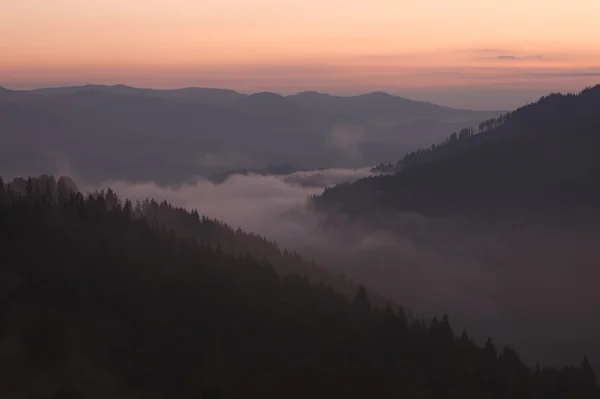 Foggy valle di montagna all'alba — Foto Stock