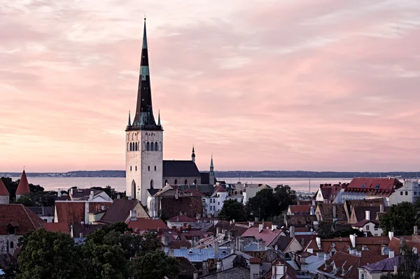 Tallinn eski şehir merkezinin panoramik görüntüsü — Stok fotoğraf