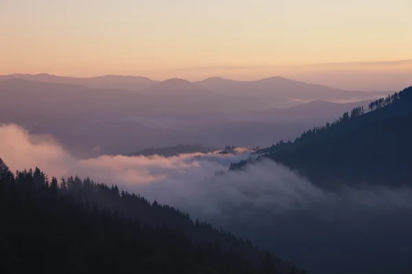 Niebla montaña valle amanecer — Foto de Stock