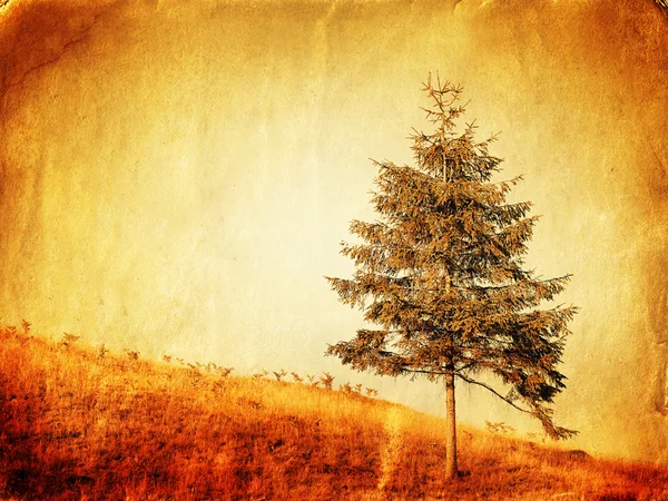 Vintage style photo of lonely tree — Stock Photo, Image