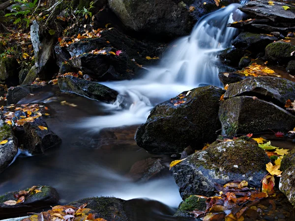 Arroyo de montaña — Foto de Stock