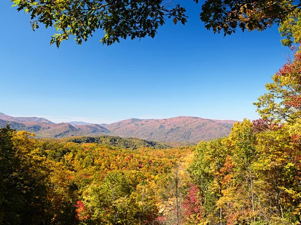 Podzim barvy lesa v národním parku regionu smoky mountains — Stock fotografie