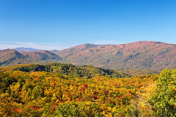 Podzim barvy lesa v národním parku regionu smoky mountains — Stock fotografie