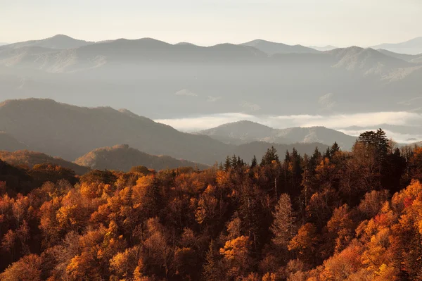 Büyük smoky Dağları Milli Parkı — Stok fotoğraf