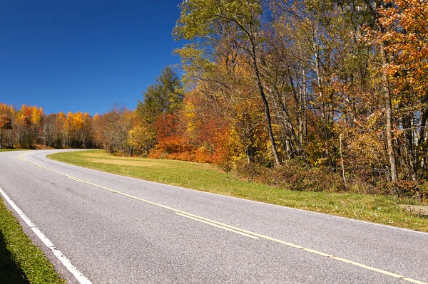 Estrada através da floresta de outono — Fotografia de Stock