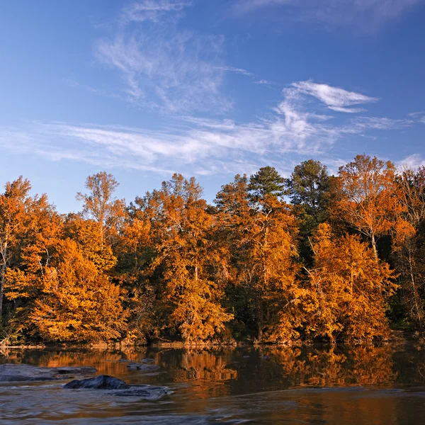 Belas cores de queda floresta refletida no rio — Fotografia de Stock