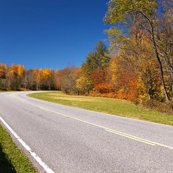 Camino a través del bosque de otoño — Foto de Stock