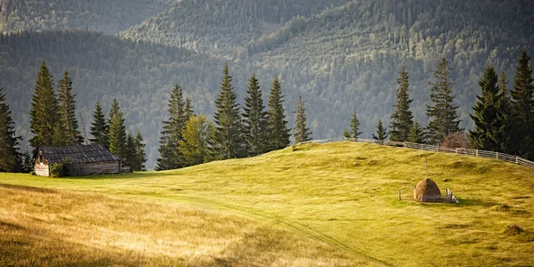 Colline montane dei Carpazi — Foto Stock