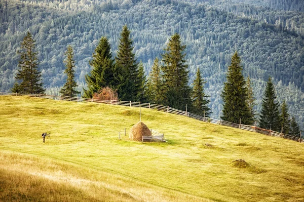 Colline montane dei Carpazi — Foto Stock