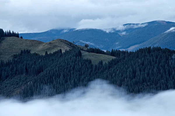 Foggy landscape of Carpathian mountains — Stock Photo, Image