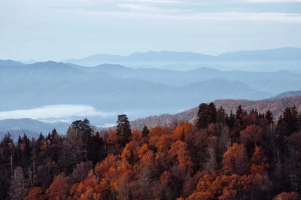 Great smoky mountains Nationaalpark — Stockfoto