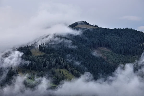 Paesaggio appannato delle montagne dei Carpazi — Foto Stock