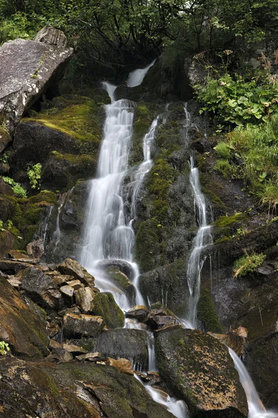 Cascada de montaña — Foto de Stock