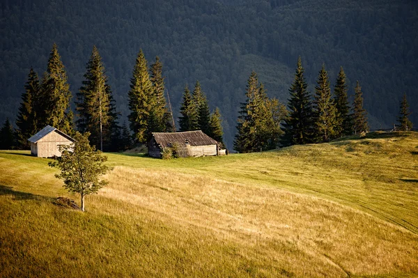 Berg heuvel bij zonsondergang — Stockfoto