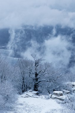 Snow storm at Demerdzhi mountain clipart