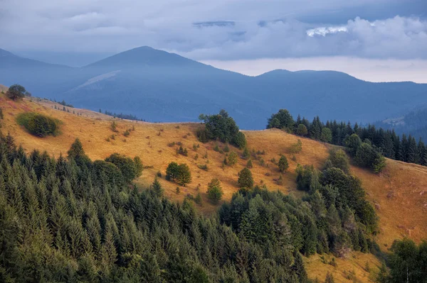 Karpatische bergen heuvels bij bewolkt zonsopgang — Stockfoto