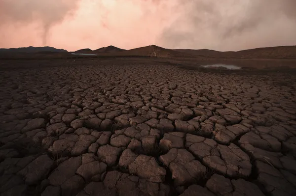 Cracked soil landscape — Stock Photo, Image