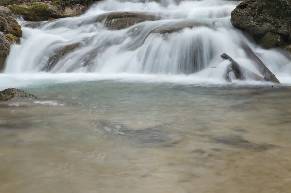 Forest waterfall — Stock Photo, Image