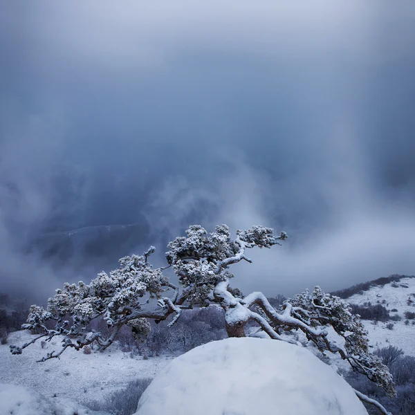 在 demerdzhi 山雪风暴 — 图库照片