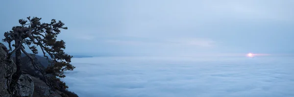 Panoramatický snímek slunce nad mraky — Stock fotografie