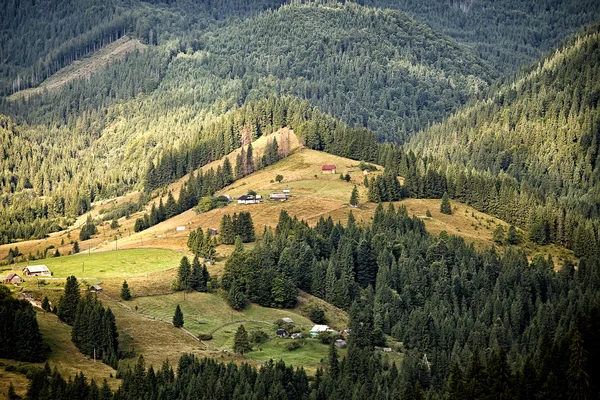 Карпатские горные холмы — стоковое фото