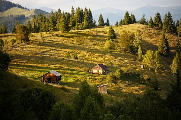 Colinas montañosas de Cárpatos — Foto de Stock