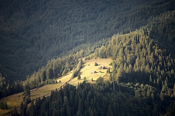 Carpathian mountain hills — Stock Photo, Image