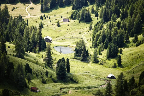 Alpina gröna dalen — Stockfoto