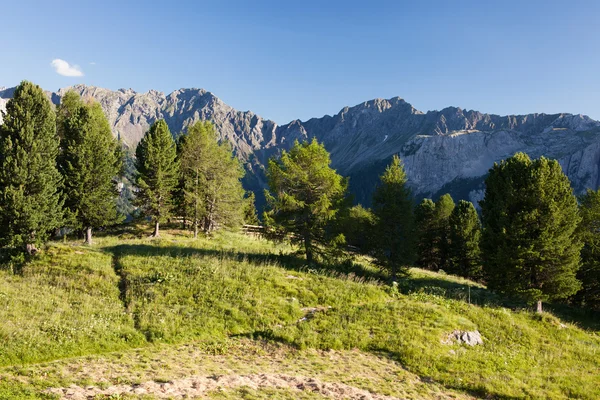 Montagne alpine paesaggio — Foto Stock