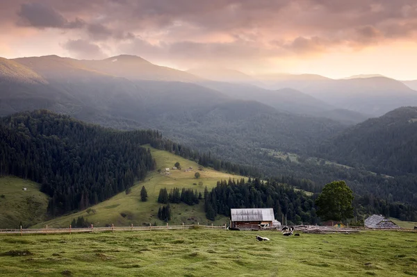 Carpathian mountains rural landscape — Stock Photo, Image